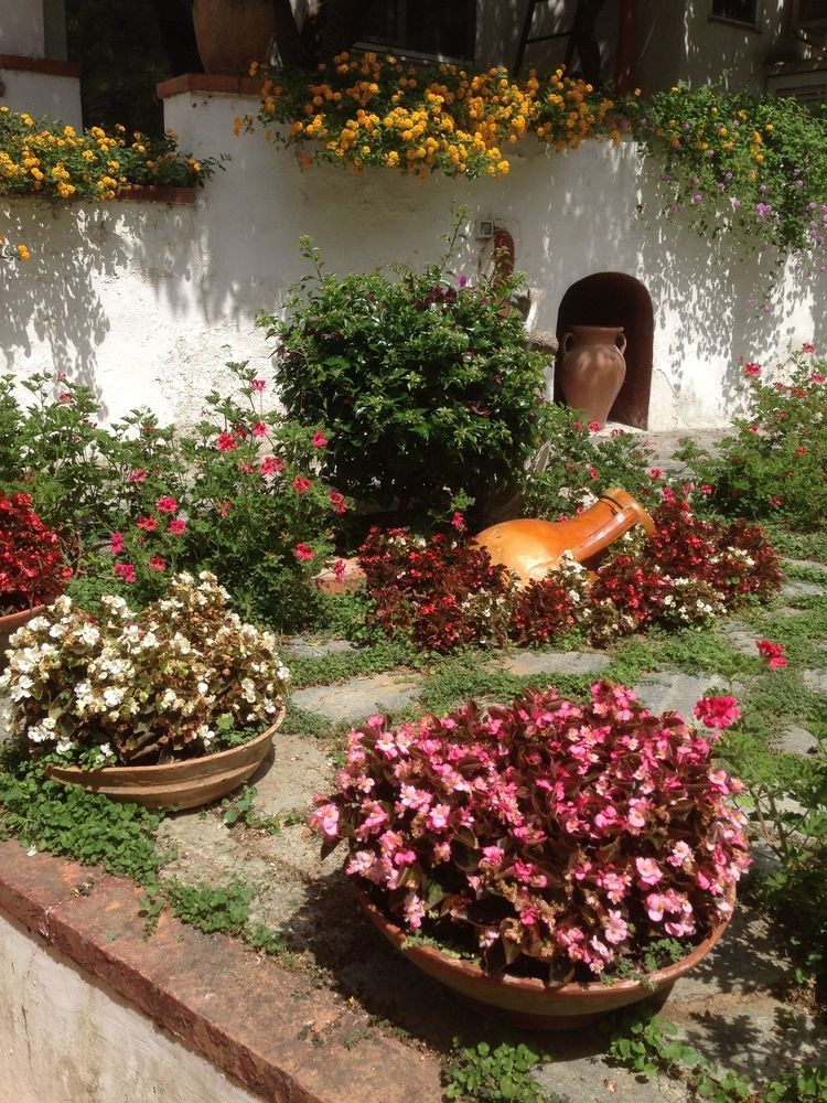 Mediterraneo Bed & Breakfast アナカプリ エクステリア 写真